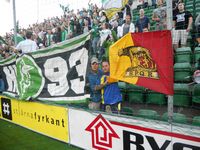 Hammarby fans